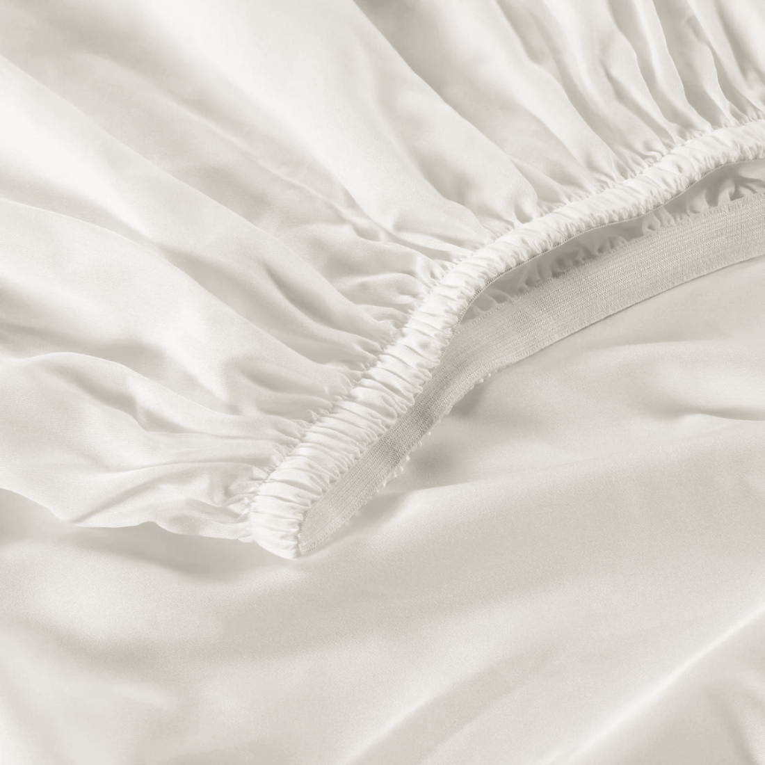 Eucalyptus Fitted Sheet