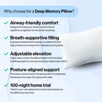 Deep Memory Pillow