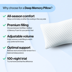Deep Memory Pillow
